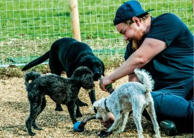 Shnoodles Doggy Daycare & Wellbeing Gallery 5