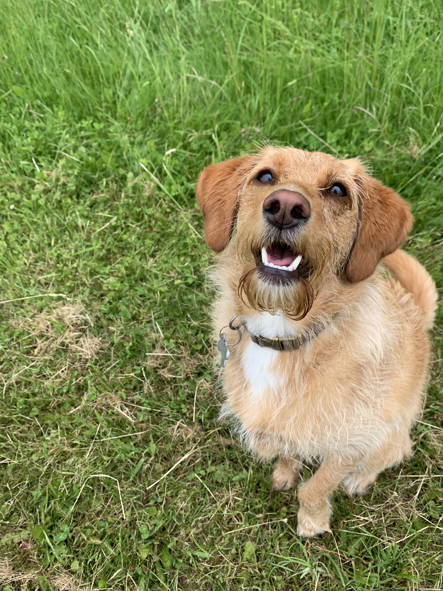 29AC8E2B-290D-4AFC-9CE8-E03296569BC8